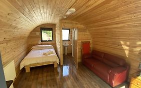 Disney Pod 7 Pet Free